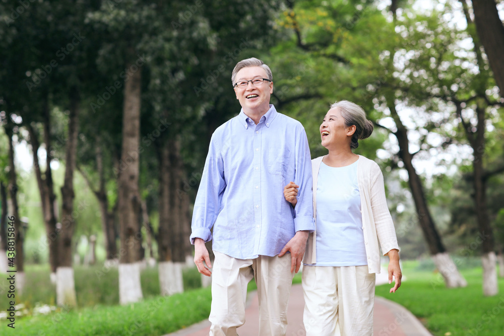 Happy old couple walking in the park