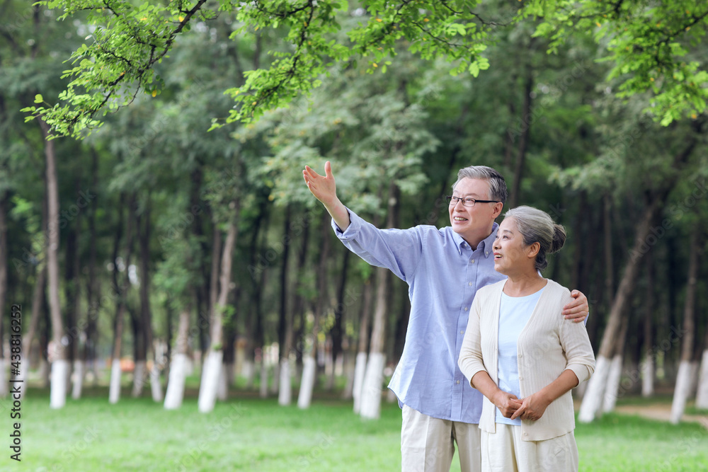 幸福的老夫妇在公园里看风景