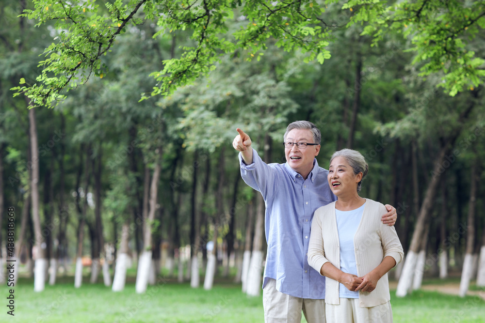 幸福的老夫妇在公园里看风景