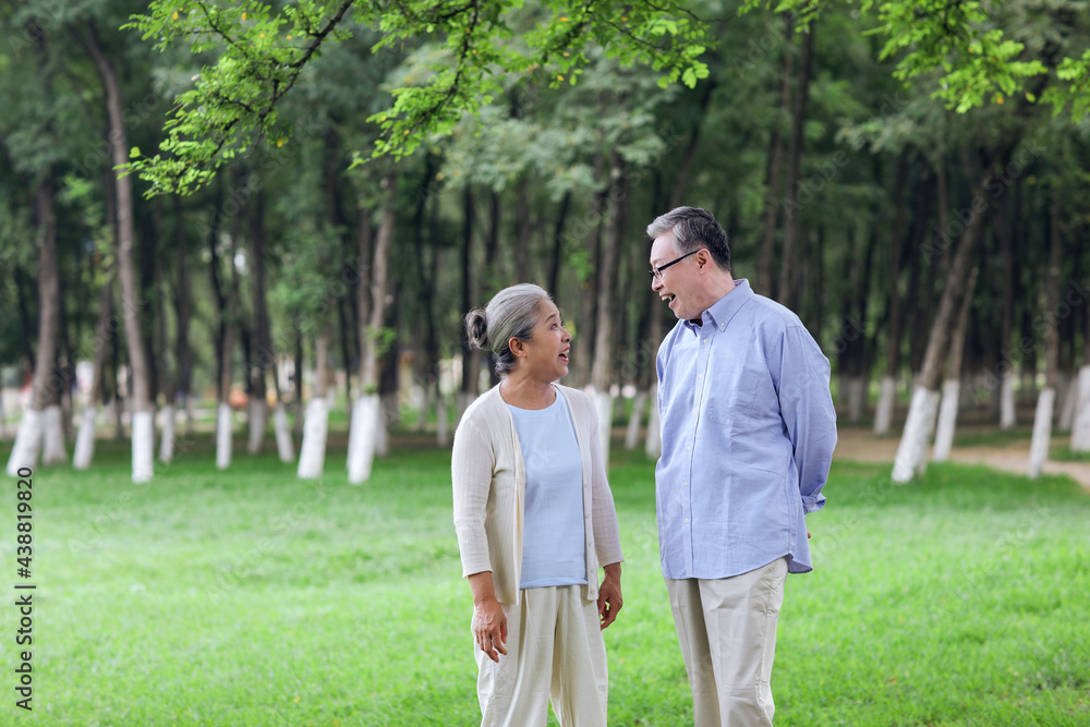 幸福的老夫妇在公园里散步