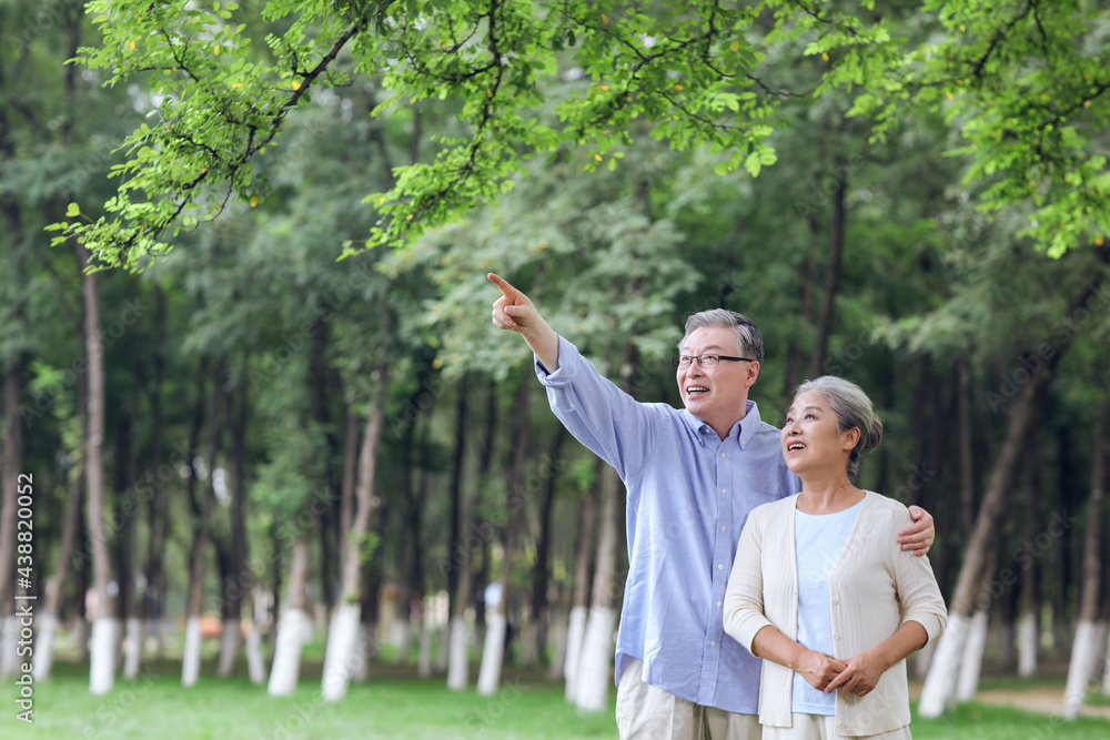 Happy old couple looking at the scenery in the park