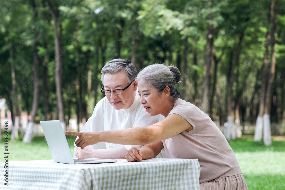 幸福的老夫妻在户外用电脑上网