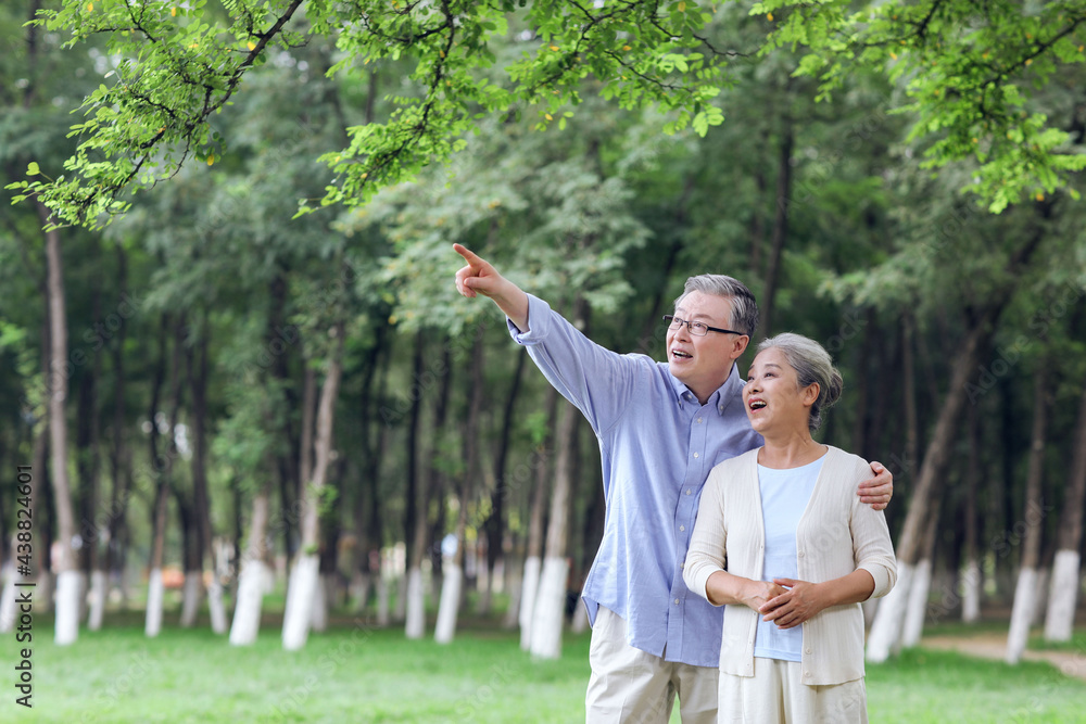 幸福的老夫妇在公园里看风景