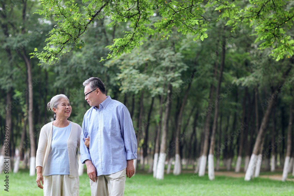 幸福的老夫妇在公园里散步