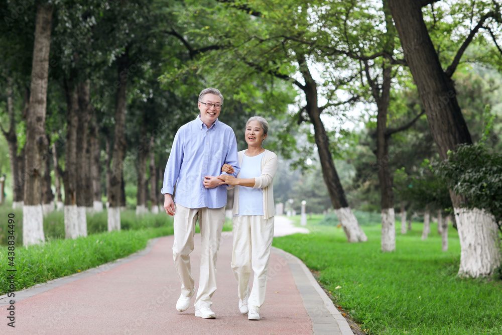 Happy old couple walking in the park