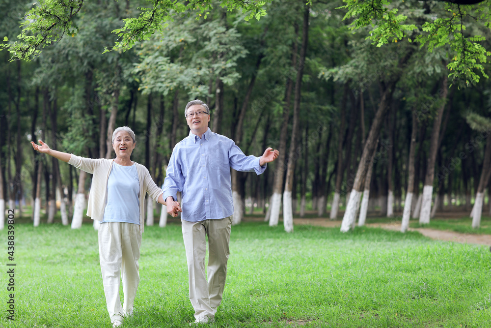 幸福的老夫妇在公园里看风景