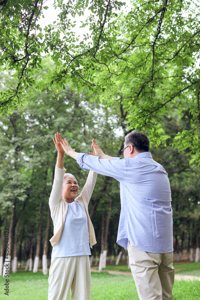 Happy old couple looking at the scenery in the park