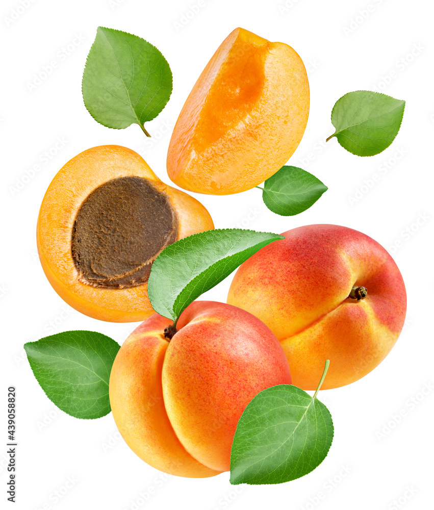 Apricot fruit with apricot leaf isolated on white background