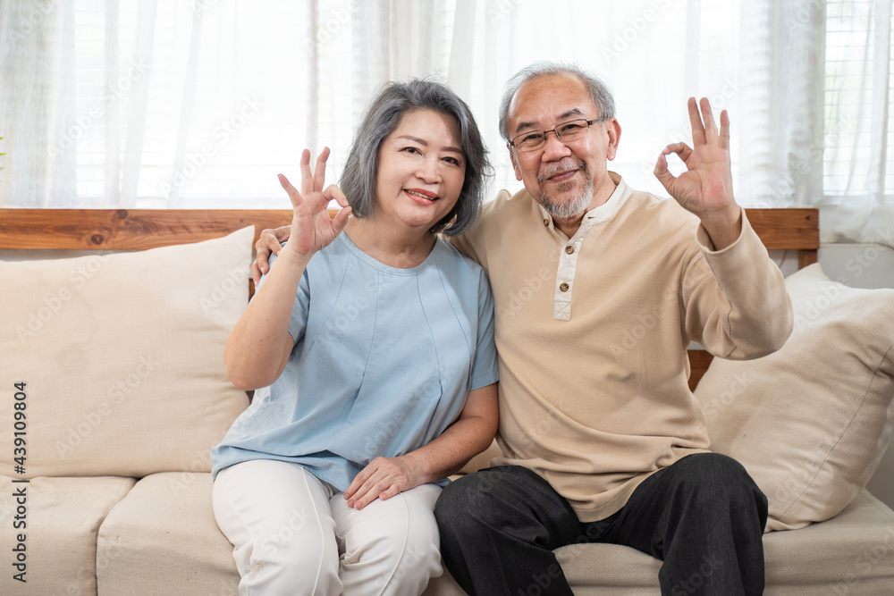 Asian Smile Senior couple show okay gesture and look at camera at home