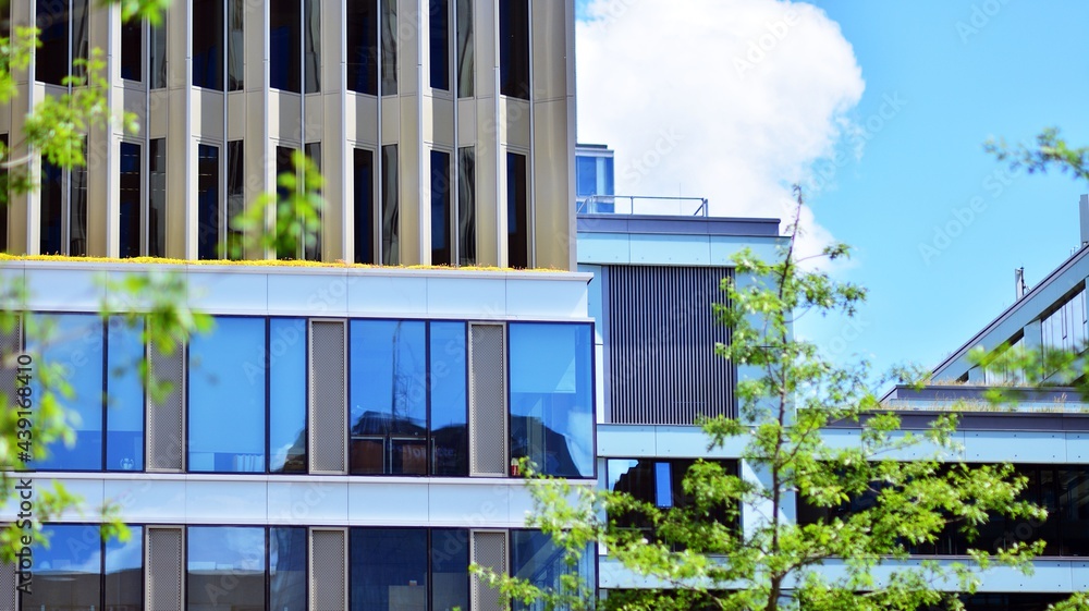 Eco architecture. Green tree and glass office building. The harmony of nature and modernity.