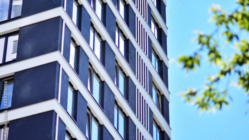 Eco architecture. Green tree and apartment building. The harmony of nature and modernity.