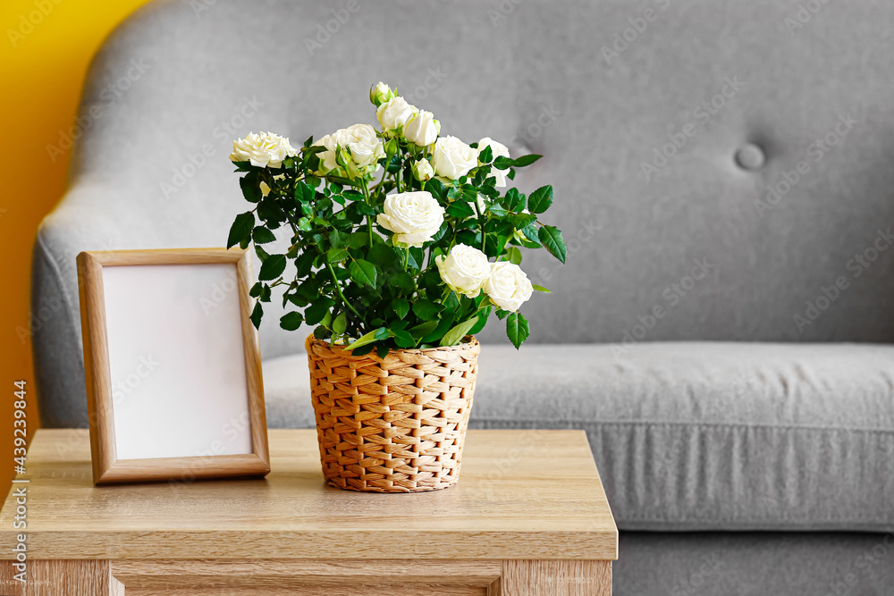 Beautiful white roses in pot and frame on table in room