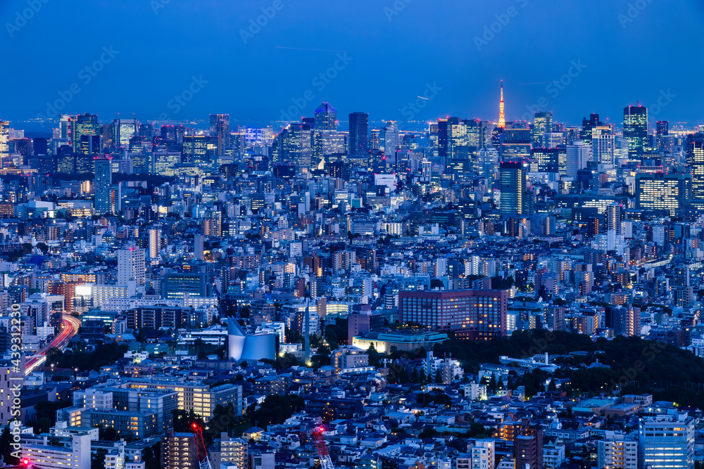 灯りが綺麗な夜の東京の景色