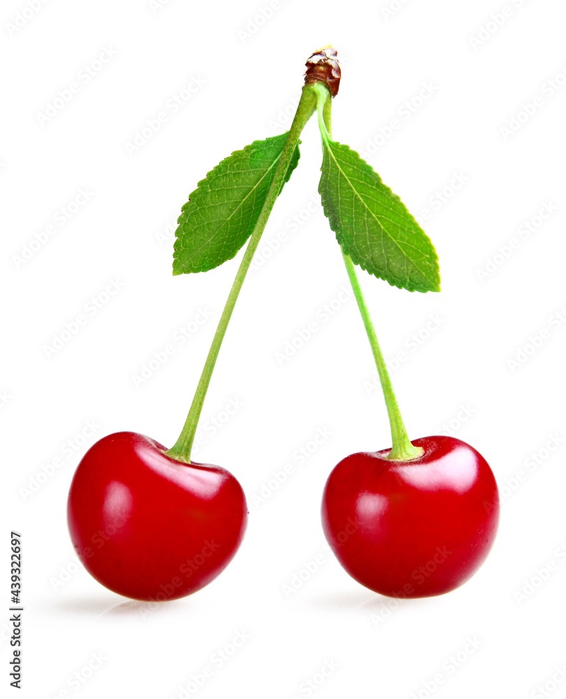 Cherries With Stem And Leaves