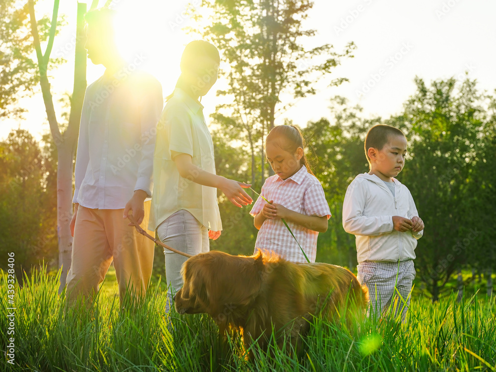 Happy family of four walking dogs in the park