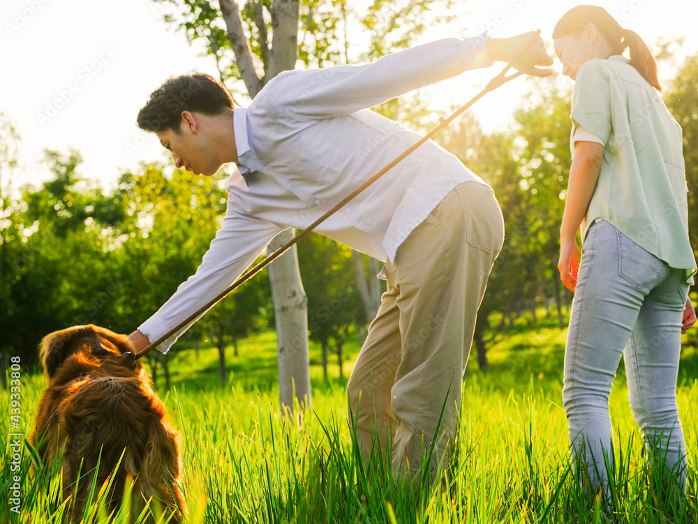 Young lovers walking dogs in the park