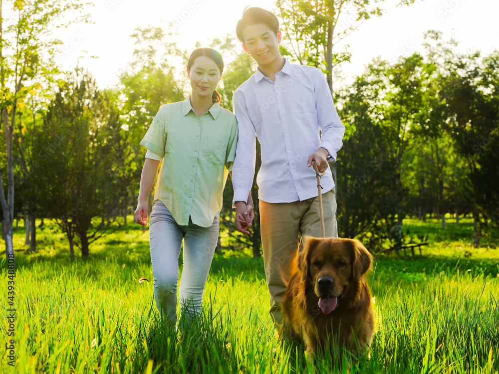 Young lovers walking dogs in the park