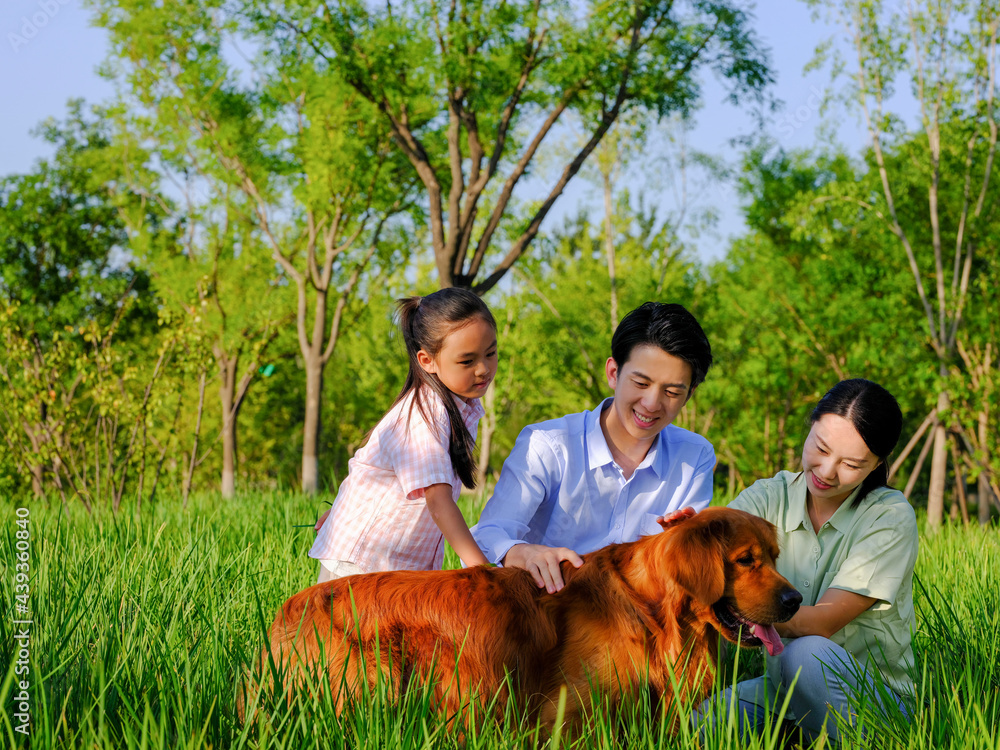 Happy family of three and pet dog playing in the park