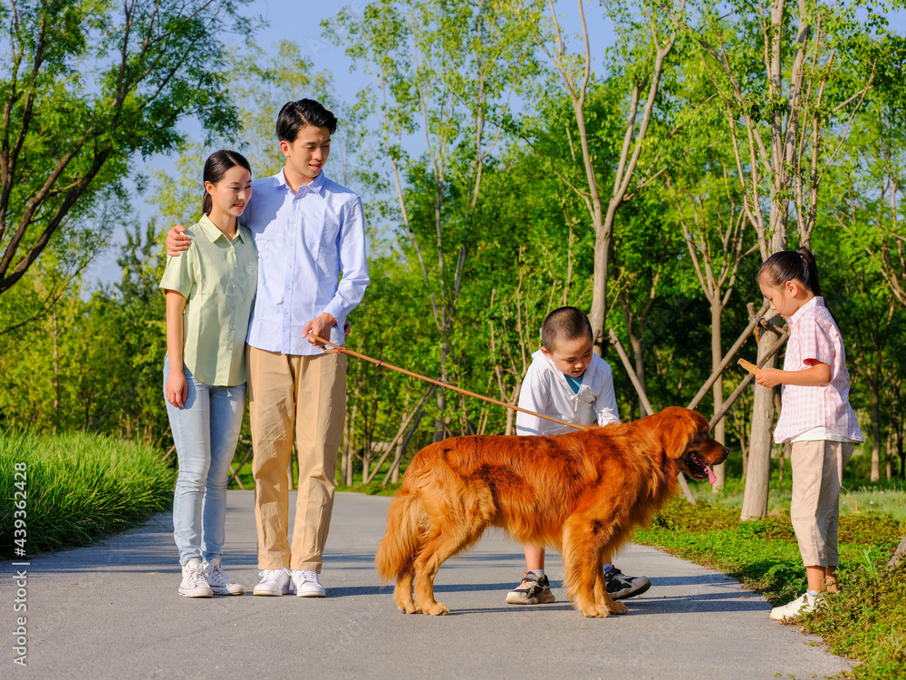 Happy family of four walking dogs in the park