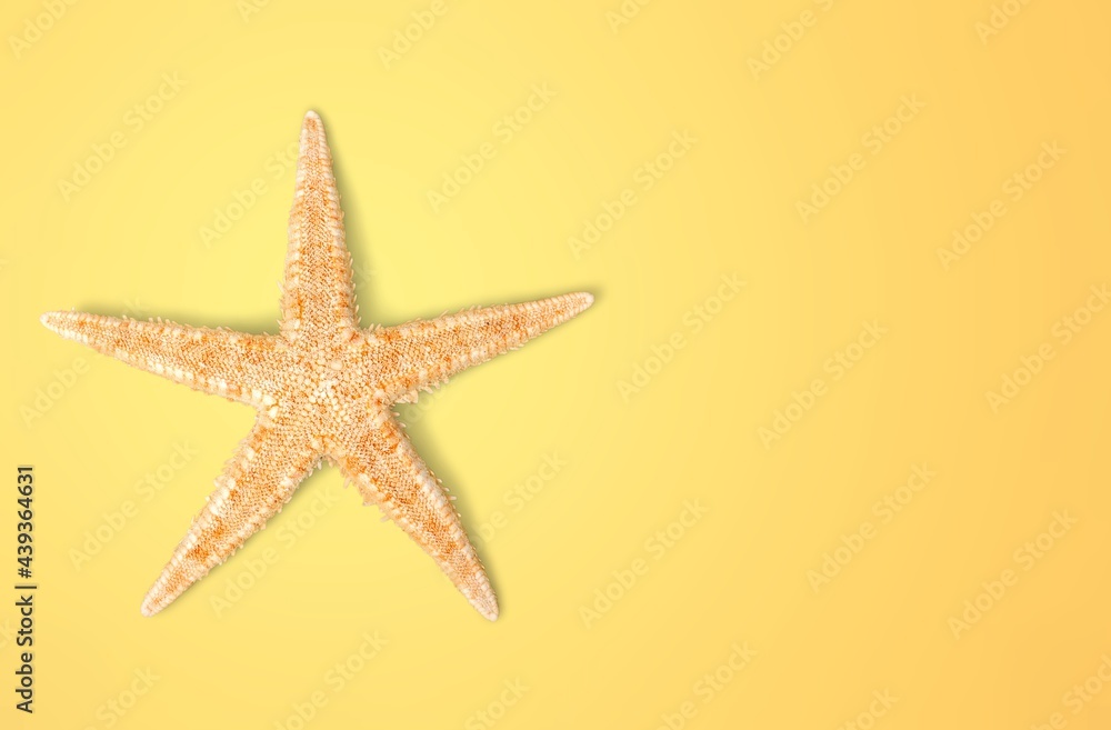 Starfish.