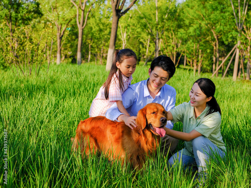 Happy family of three and pet dog playing in the park