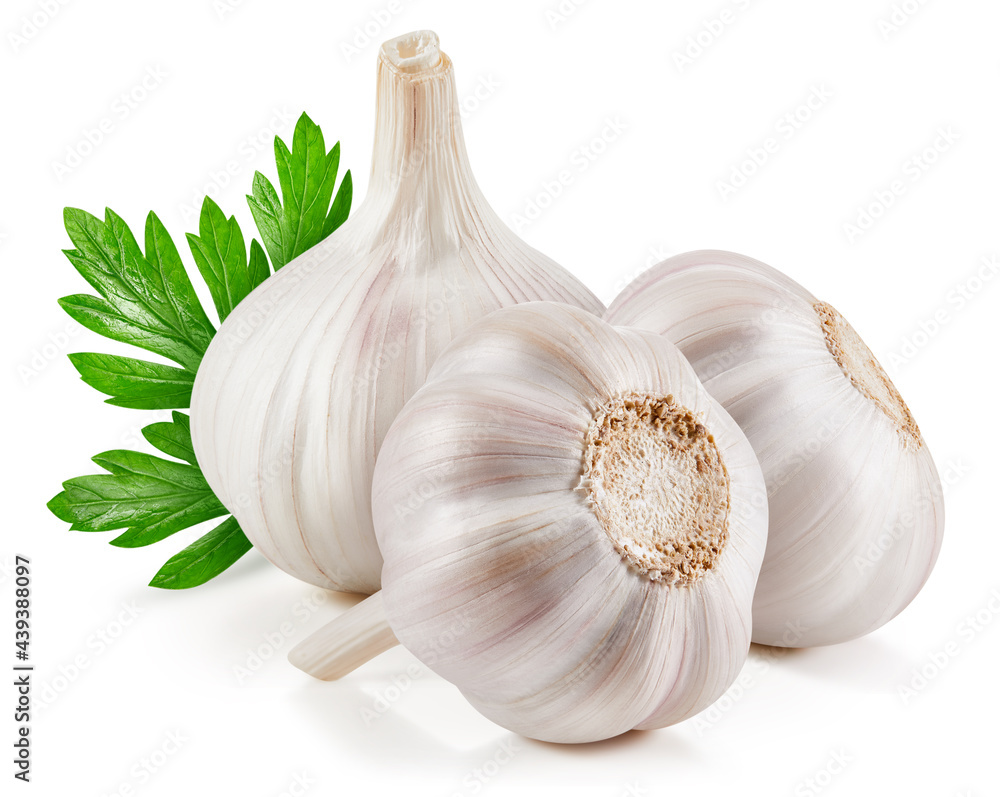 Garlic isolated on white background