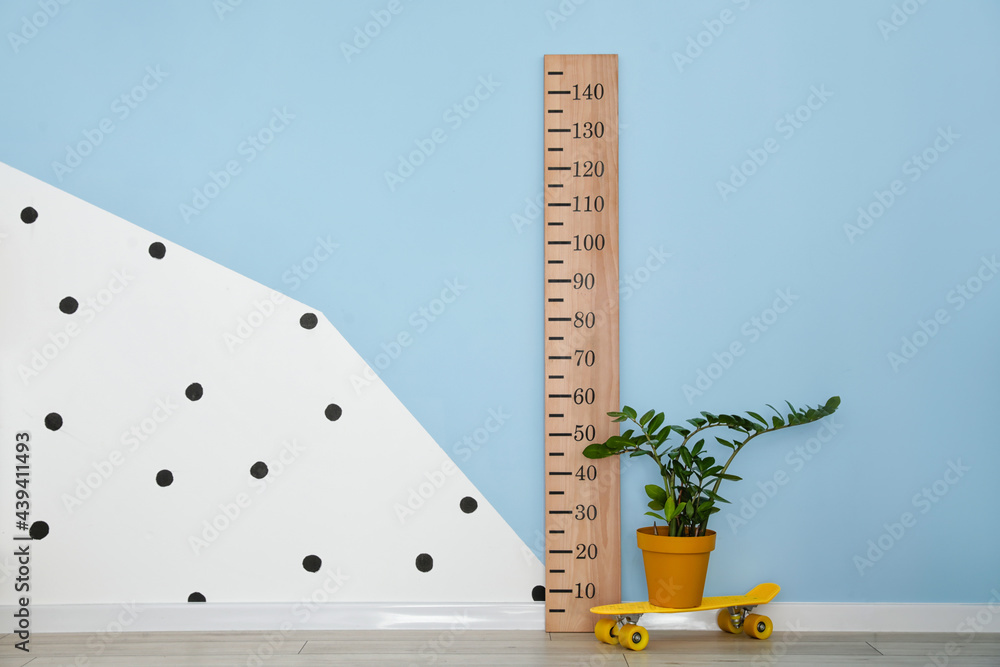 Wooden stadiometer and houseplant near color wall