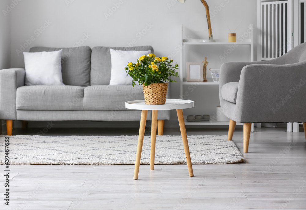 Interior of stylish living room