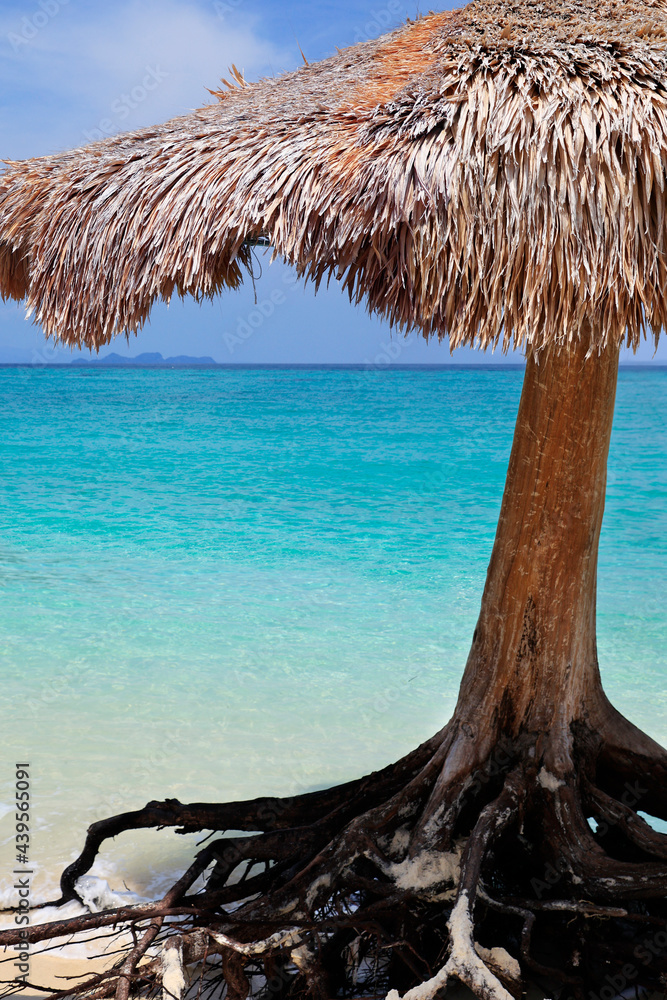 Beach umbrella on white sand beach in the  andaman sea 