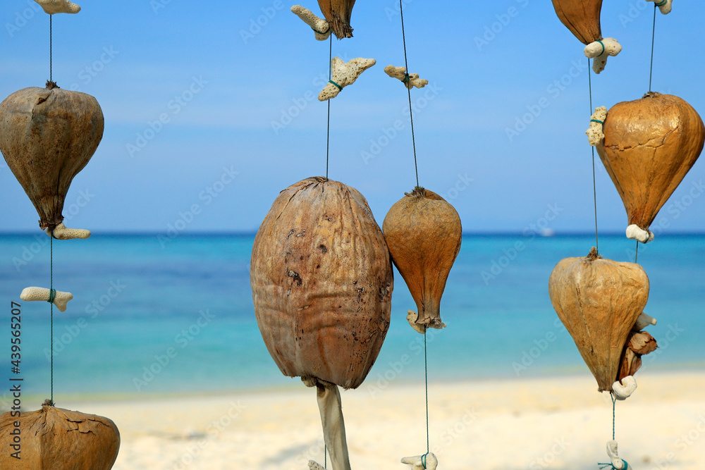 natural decoration on white sand beach