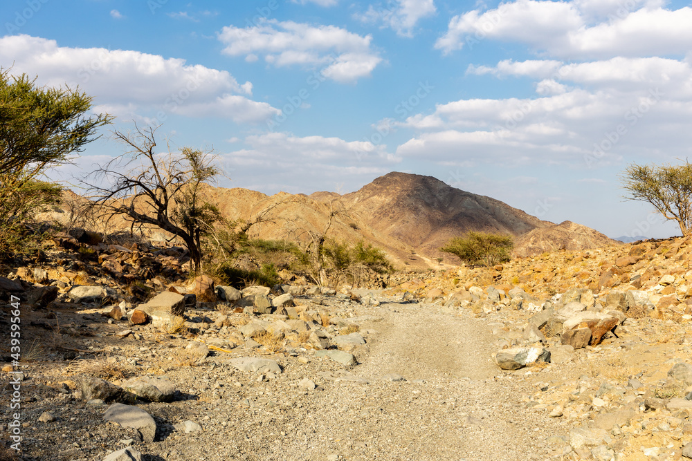 Copper Hike trail, winding gravel dirt road through Wadi Ghargur riverbed and rocky limestone Hajar 