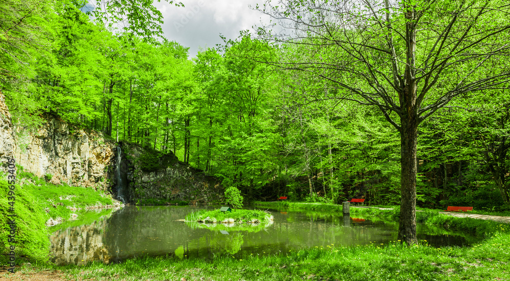 Wasserspiegelung in einem schönen Waldsee