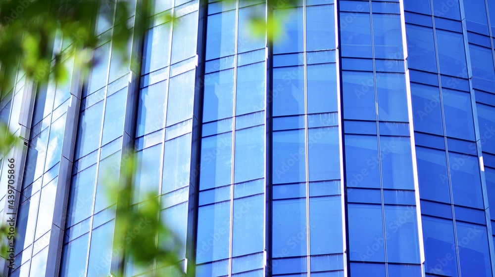 Eco architecture. Green tree and glass office building. The harmony of nature and modernity.