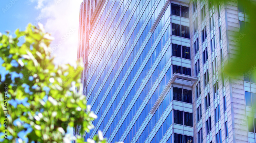 Eco architecture. Green tree and glass office building. The harmony of nature and modernity.