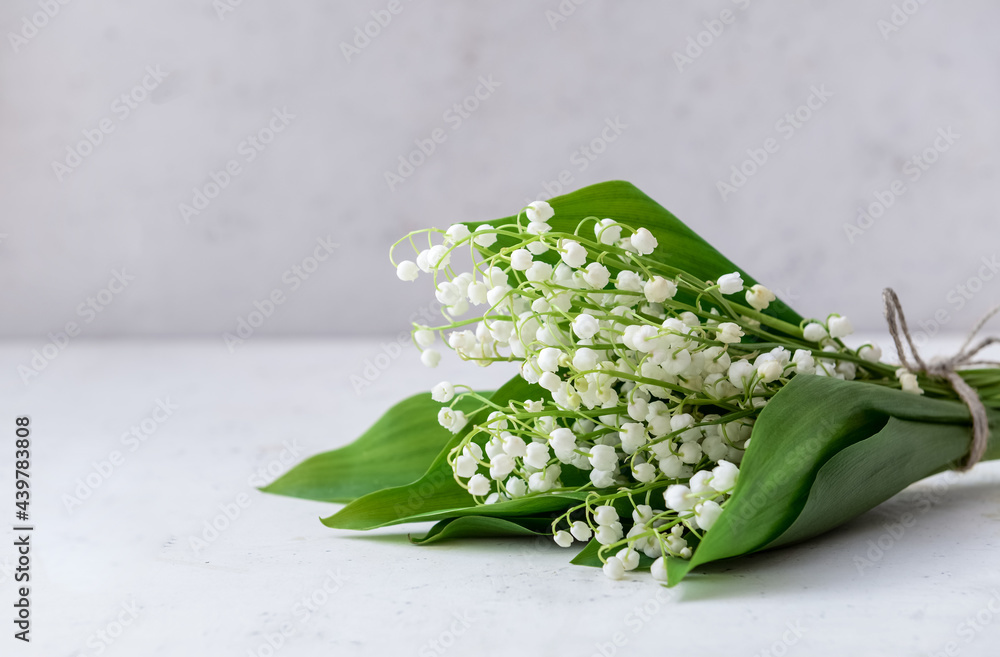 Beautiful lily-of-the-valley flowers on light background