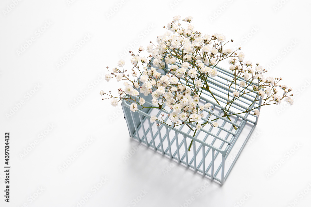 Beautiful gypsophila flowers on white background