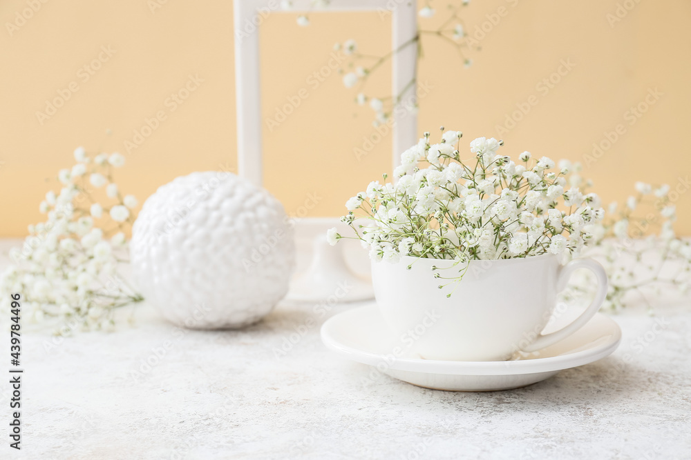 Cup with beautiful gypsophila flowers on table near color wall