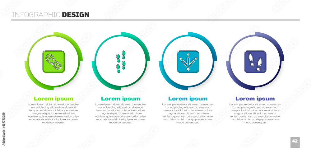 设置人类足迹鞋、鸡爪和。商业信息图模板。Vector