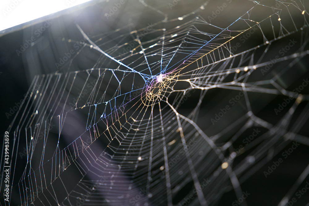 Beautiful spider web with rainbow colors at subway at train staton Zurich Schlieren. Photo taken Jun