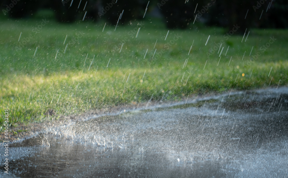 夏日公园里有雨。雨滴落在铺好的小路上。