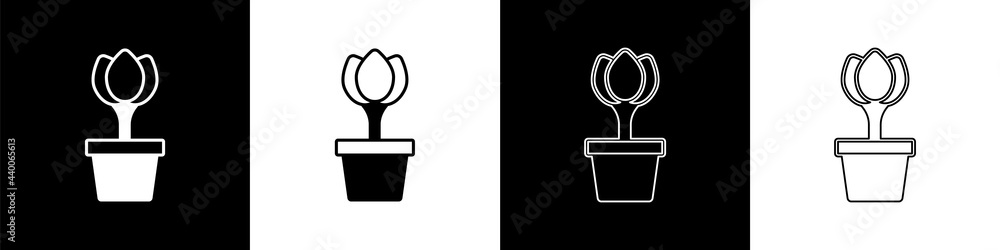 Set Flower tulip in pot icon isolated on black and white background. Plant growing in a pot. Potted 