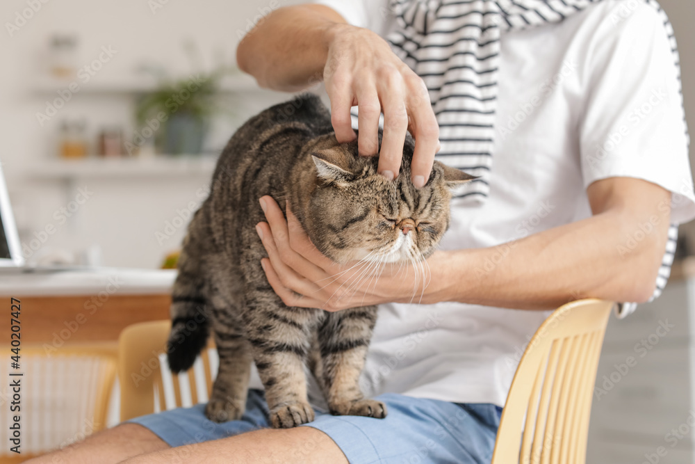 年轻人带着可爱的猫在厨房，特写镜头