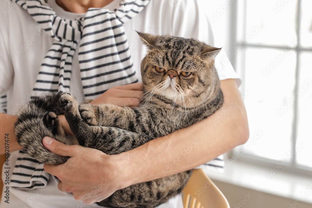 房间里有一只可爱的猫的年轻人，特写