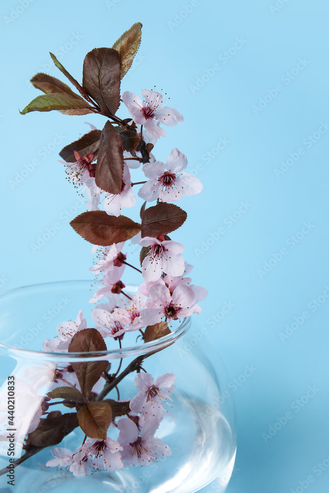 Vase with beautiful blossoming branch on color background