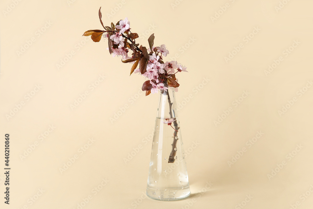 Vase with beautiful blossoming branch on color background