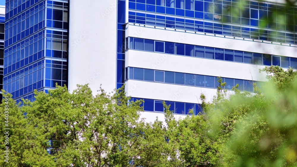 Eco architecture. Green tree and glass office building. The harmony of nature and modernity.