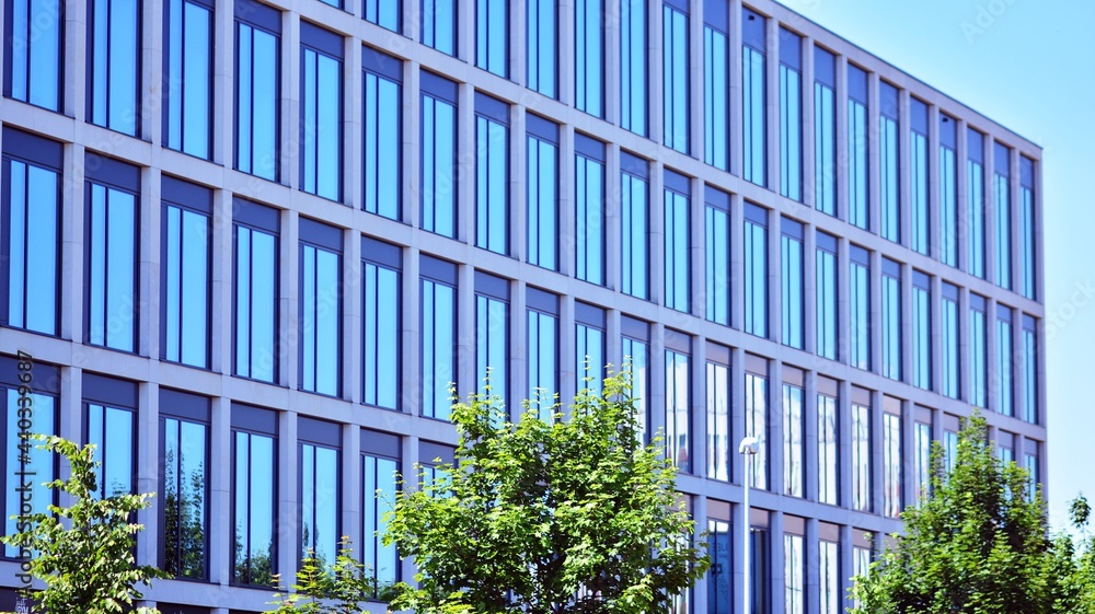 Eco architecture. Green tree and glass office building. The harmony of nature and modernity.