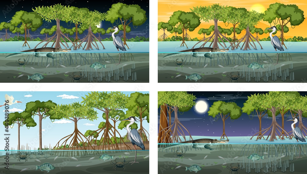 Different mangrove forest landscape scenes with animals