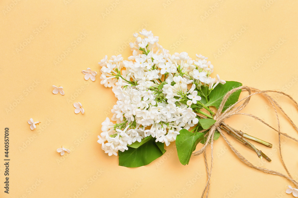 美丽的淡紫色花朵，彩色背景上有绳子