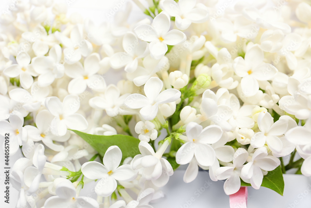 Beautiful lilac flowers on color background, closeup